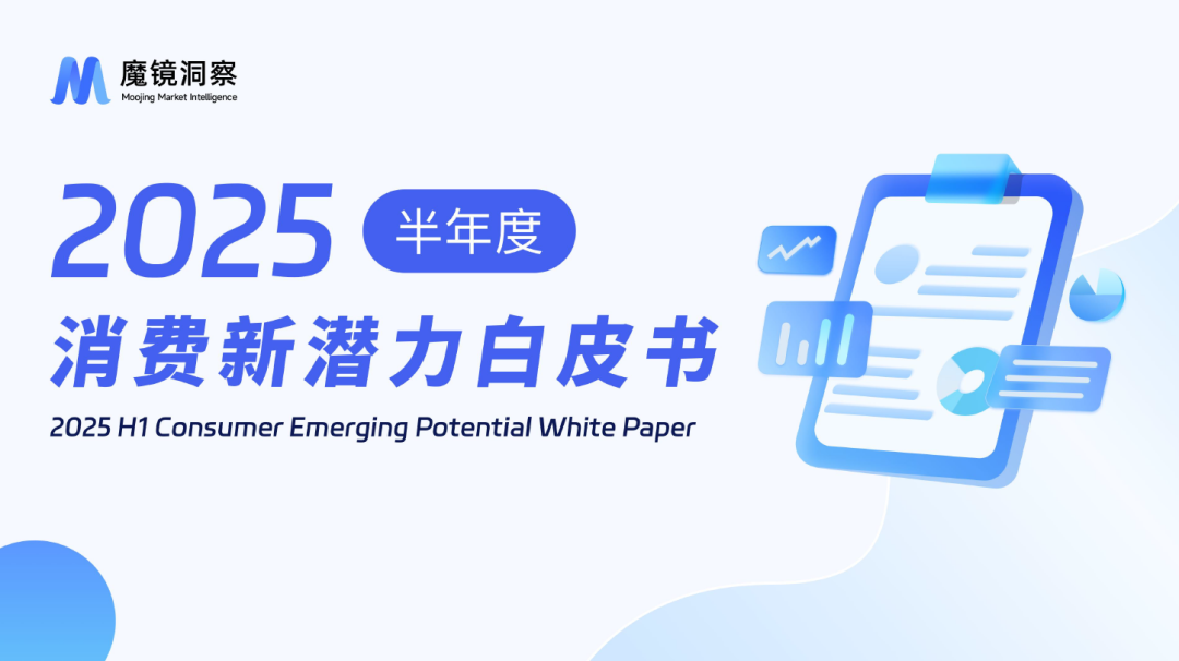 2025半年度消费新潜力白皮书(附下载)-慧读报告